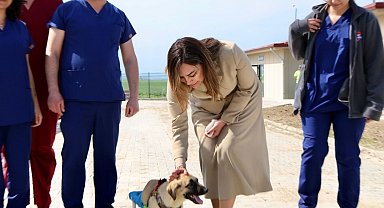 Tekirdağ'da can dostları için 10 bin metrekarelik yaşam alanı