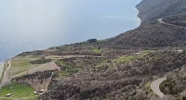 Tekirdağ'da pelikanların senkronize uçuşu görsel şölen sundu