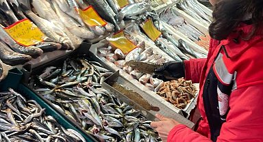 Tekirdağ'da su ürünleri denetimi