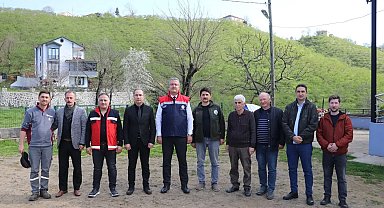 Teraslı fındık bahçeleri verimi artırdı, üretici memnuniyeti yükseldi