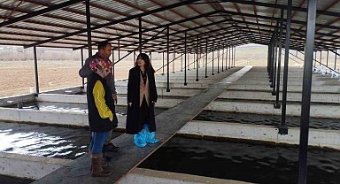 Tercan'da alabalık üretim tesisine denetim