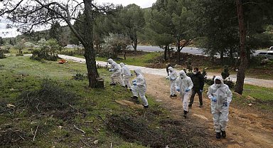 Terminatör böcekler iş başında