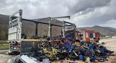 Tokat'ta çilek yüklü kamyon yandı