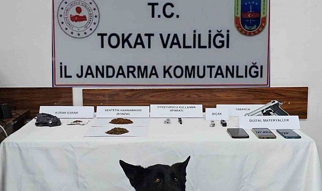 Tokat'ta jandarmadan zehir tacirlerine operasyon: 5 gözaltı