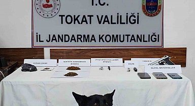 Tokat'ta jandarmadan zehir tacirlerine operasyon: 5 gözaltı