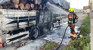 Tomruk yüklü TIR dorsesi alevel alev yandı