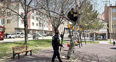 Topu almak için çıktığı ağaçtan inemeyen çocuk itfaiyeden yardım istedi