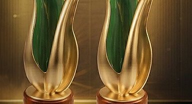 Trendyol'un sosyal etki projelerine uluslararası alanda iki ödül