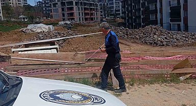 Tunceli zabıtasından çevre temizliği için denetim