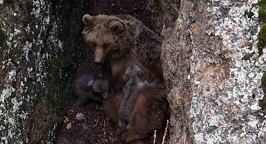 Tunceli'de belgeselleri aratmayan görüntüler