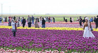 Türkiye'nin en büyük lale tarlasında ziyaretçi rekoru