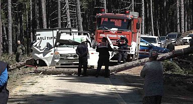 Uludağ'da inanılmaz olay...Kesilen ağaç seyir halindeki kamyonetin üzerine devrildi: 1 ölü