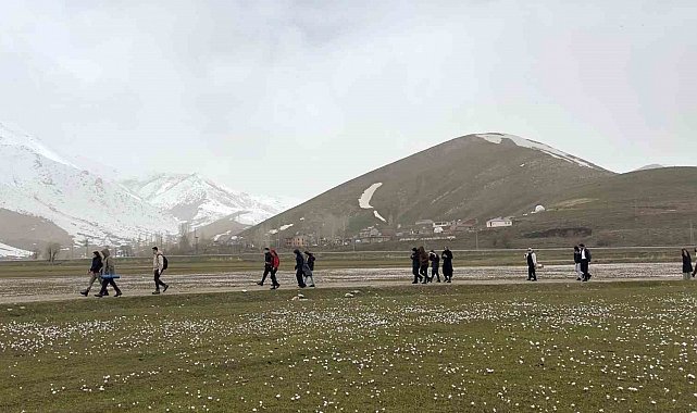 Üniversite öğrencilerinden çiğdemler arasında doğa yürüyüşü
