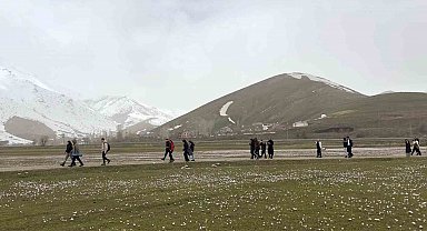 Üniversite öğrencilerinden çiğdemler arasında doğa yürüyüşü