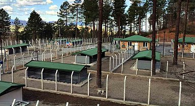 Ünye'de sahipsiz hayvanlar için örnek tesis tamamlanıyor