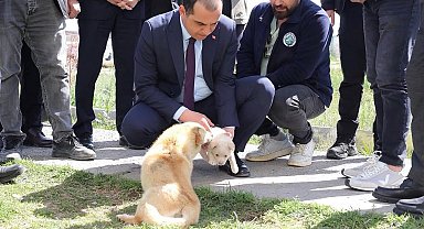 Vali Taşolar, Iğdır Geçici Hayvan Bakımevi'ni ziyaret etti