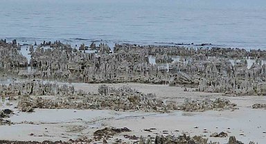 Van Gölü'nde kuraklık alarmı: Adilcevaz sahilinde mikrobiyalitler gün yüzüne çıktı