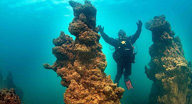 Van Gölü'nün mikrobiyalitleri Guinness için ön elemeyi geçti