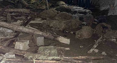 Van'da ahır çöktü: 56 küçükbaş hayvan telef oldu