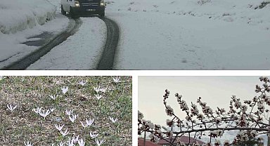 Van'da iki mevsim bir arada: Bir yanda bahar, diğer yanda kış