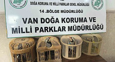 Van'da keklik avlayan şahsa 86 bin 278 lira para cezası