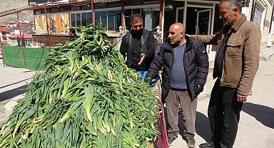 Van'da şifa kaynağı 'çiriş otu' tezgahlardaki yerini aldı