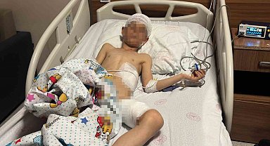 Van'daki köpek dehşetinde kan donduran detaylar