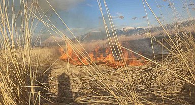 Van'ın Muradiye ilçesinde sazlık yangını