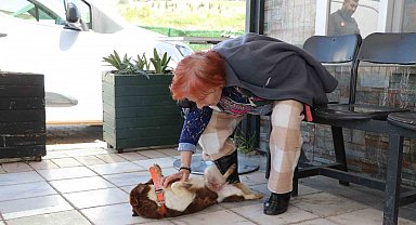 Yalova'da Cevriye teyze can dostu ile duygulandıran buluşma