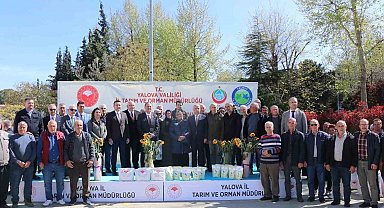 Yalova'da çiftçiye ayçiçeği ve fasulye tohumu desteği