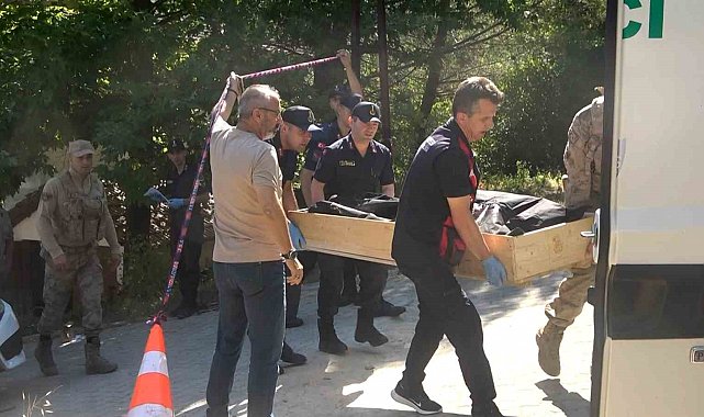 Yalova'da kardeşini öldüren sanığa ağırlaştırılmış müebbet