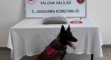 Yalova'da uyuşturucu operasyonunda 1 tutuklama