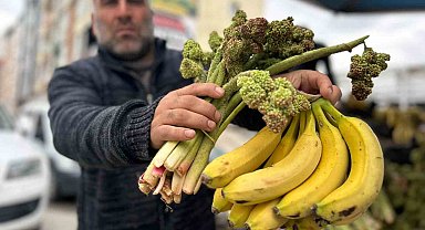 Yayla muzu uçkun tezgaha çıktı