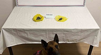 Yol kontrolünde uyuşturucu yakalandı