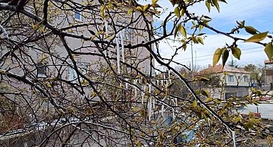 Yozgat'ta çiftçiler zirai don tehlikesine karşı uyarıldı