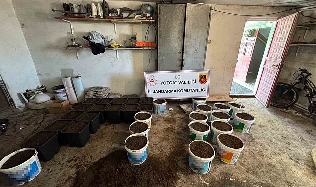Yozgat'ta uyuşturucu yetiştirme düzeneği ve uyuşturucu madde ele geçirildi