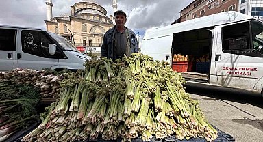 Yüksekova'da 'yayla muzu' mesaisi başladı