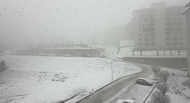 Yüksekova'da nisan ayında kar esareti