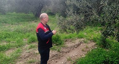 Zararlılara karşı tuzaklar kuruldu