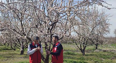 Zirai don uyarısı sonrası hasar tespit çalışması yapıldı