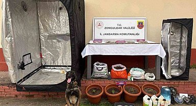 Zonguldak'ta jandarmanın uyuşturucu operasyonunda 2 şüpheli tutuklandı