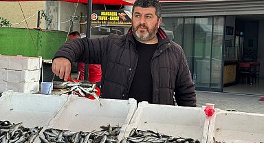 Zonguldak'ta tezgahlarda istavrit bolluğu: Kilosu 100 liradan satılıyor