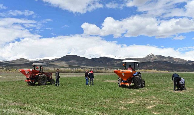 200 dekar suni merada üst gübreleme tamamlandı