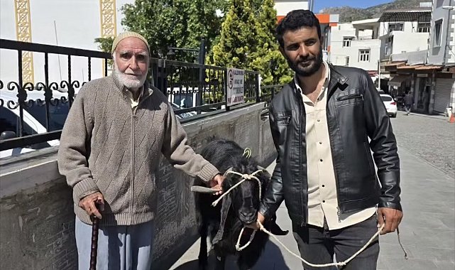 70 kiloluk dev keçi 36 bin liraya satıldı
