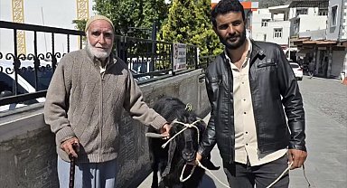 70 kiloluk dev keçi 36 bin liraya satıldı
