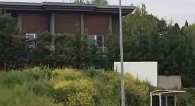 Aç kalan domuz sürüsü, gündüz şehir merkezine indi