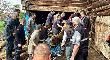 Ahır göçüğünde can pazarı: Kadın ağır yaralı kurtarıldı, hayvanlar enkaz altında kaldı