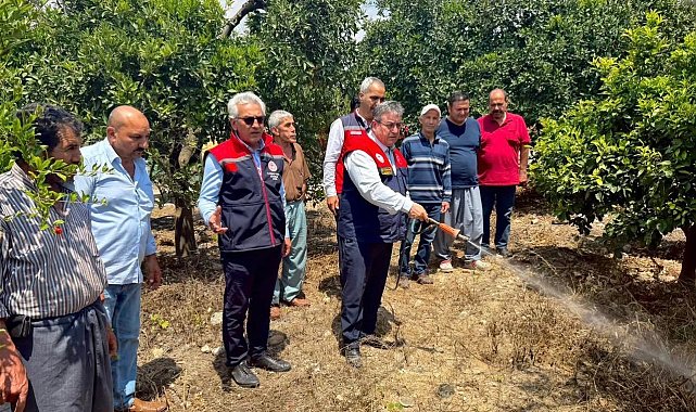 Akdeniz meyve sineğiyle mücadele kesintisiz sürüyor