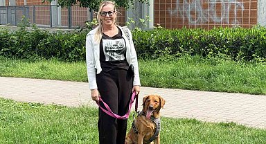 Almanya'da köpek sahiplerine sigorta şartı