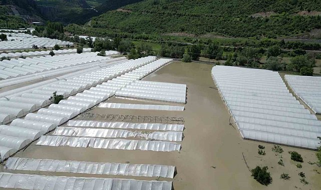 Amasya'da Yeşilırmak Nehri taştı, tarım arazileri sular altında kaldı